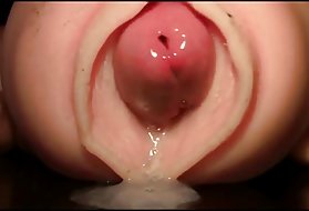 देखो अश्लील, रिवर्स, aginomotto