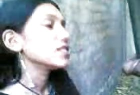 देसी एच एस की खेती, लिंग, में, हिंदी, बंगाली, देसी